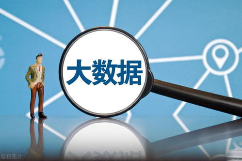 网络安全软件国产化 大数据时代下，八朵“金花”如何引领风潮